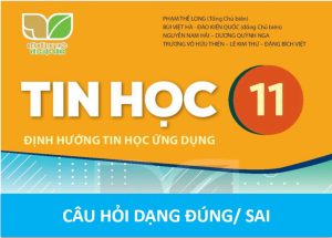Read more about the article CÂU HỎI TRẮC NGHIỆM DẠNG ĐÚNG/ SAI TIN HỌC 11 KNTT