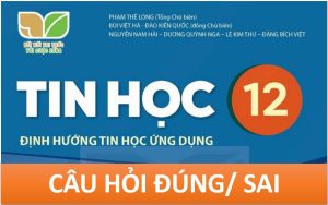 Read more about the article CÂU HỎI TRẮC NGHIỆM DẠNG ĐÚNG/ SAI TIN HỌC 12 KNTT (Phần 1)