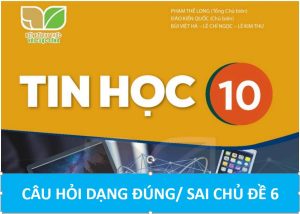 Read more about the article CÂU HỎI TRẮC NGHIỆM DẠNG ĐÚNG/ SAI TIN HỌC 10 KNTT CHỦ ĐỀ 6