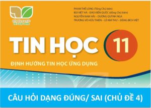 Read more about the article CÂU HỎI TRẮC NGHIỆM DẠNG ĐÚNG/ SAI TIN HỌC 11 KNTT CHỦ ĐỀ 4