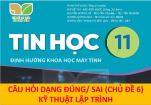 Câu hỏi Đúng - Sai Tin học 11 KNTT (CS)